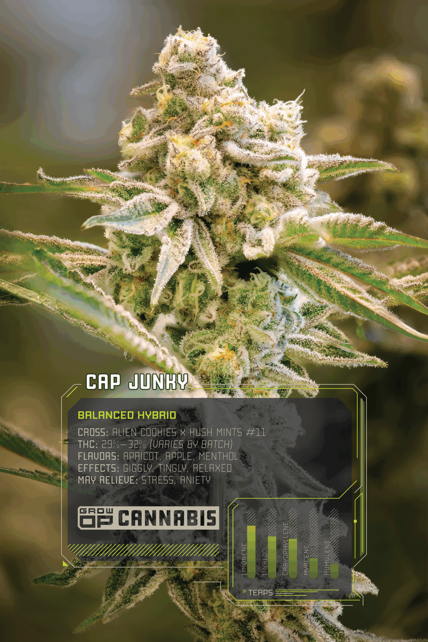 GrowOP_Flower_Infographics_Web_CJ