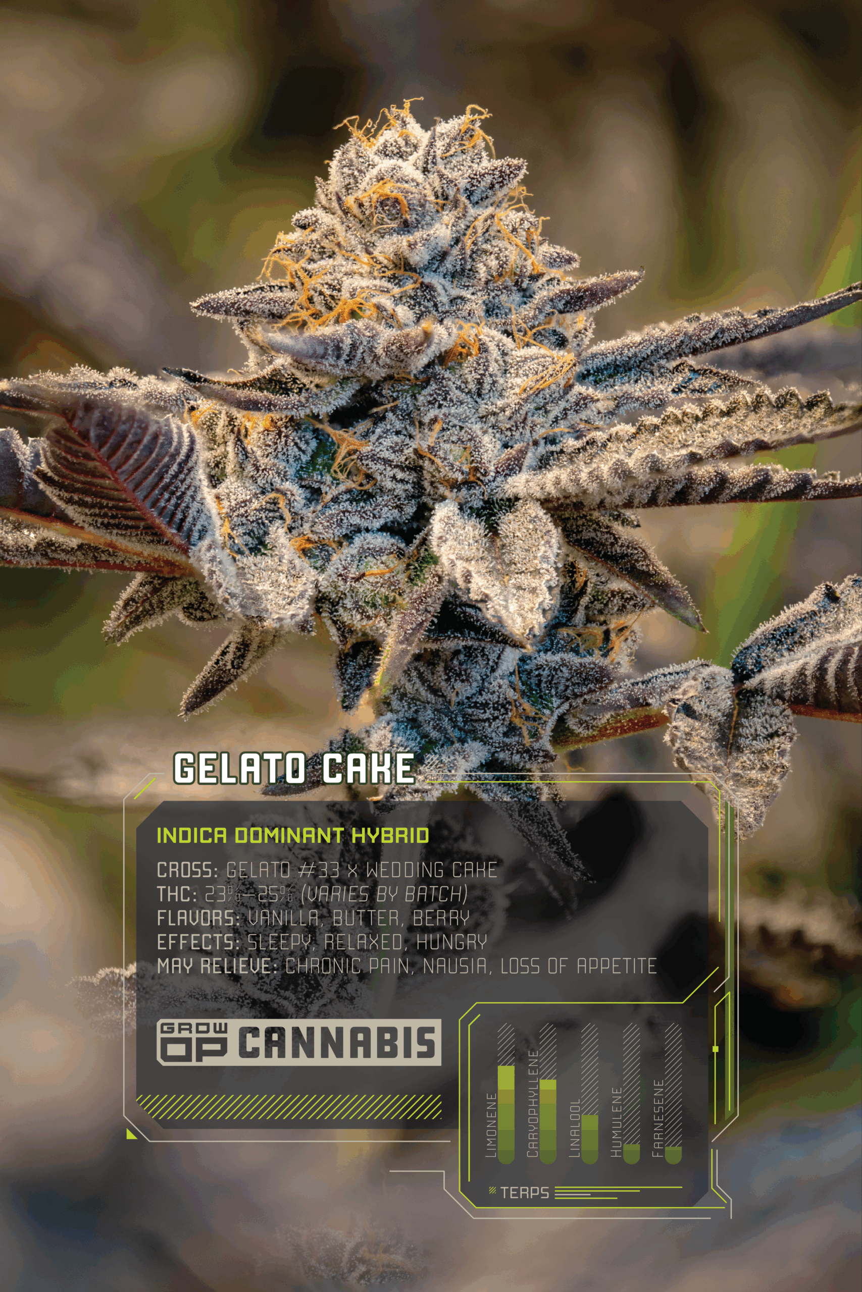 GrowOP_Flower_Infographics_Web_GC