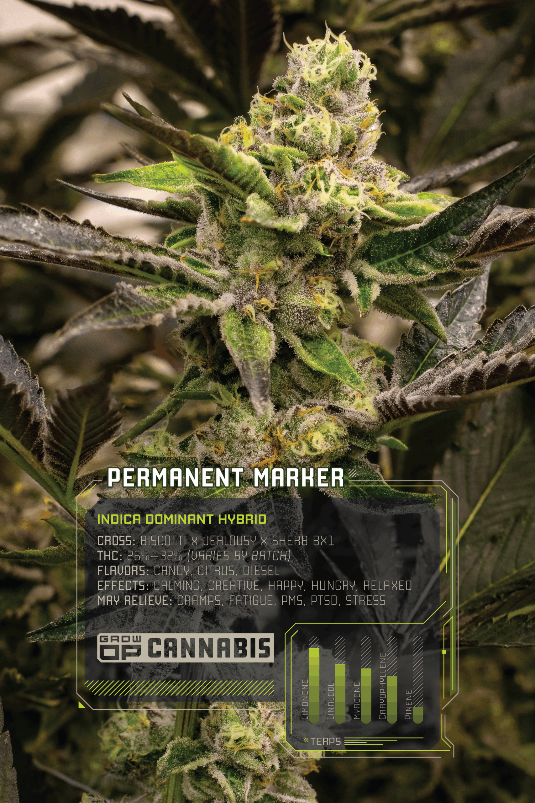 GrowOP_Flower_Infographics_Web_PM