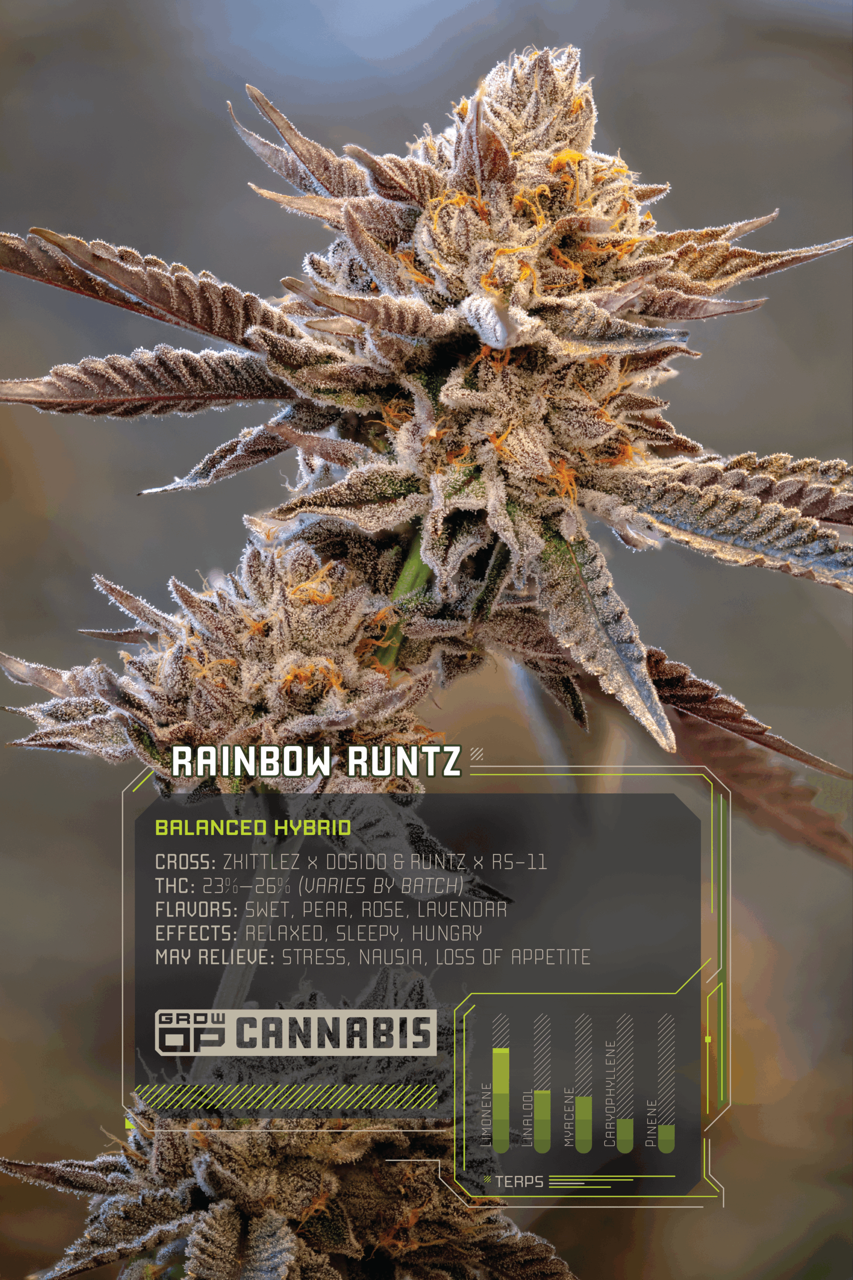 GrowOP_Flower_Infographics_Web_RR