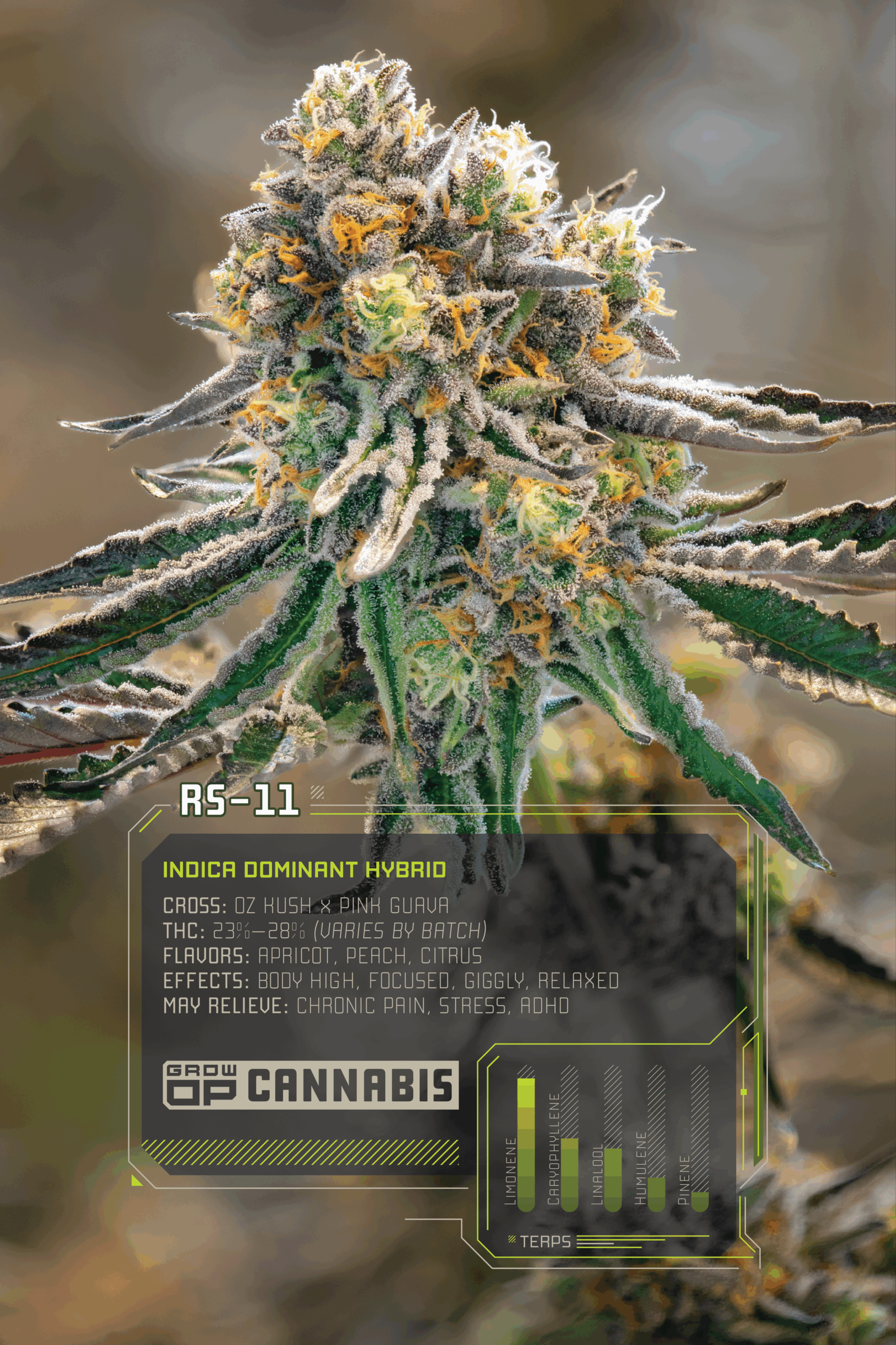 GrowOP_Flower_Infographics_Web_RS11