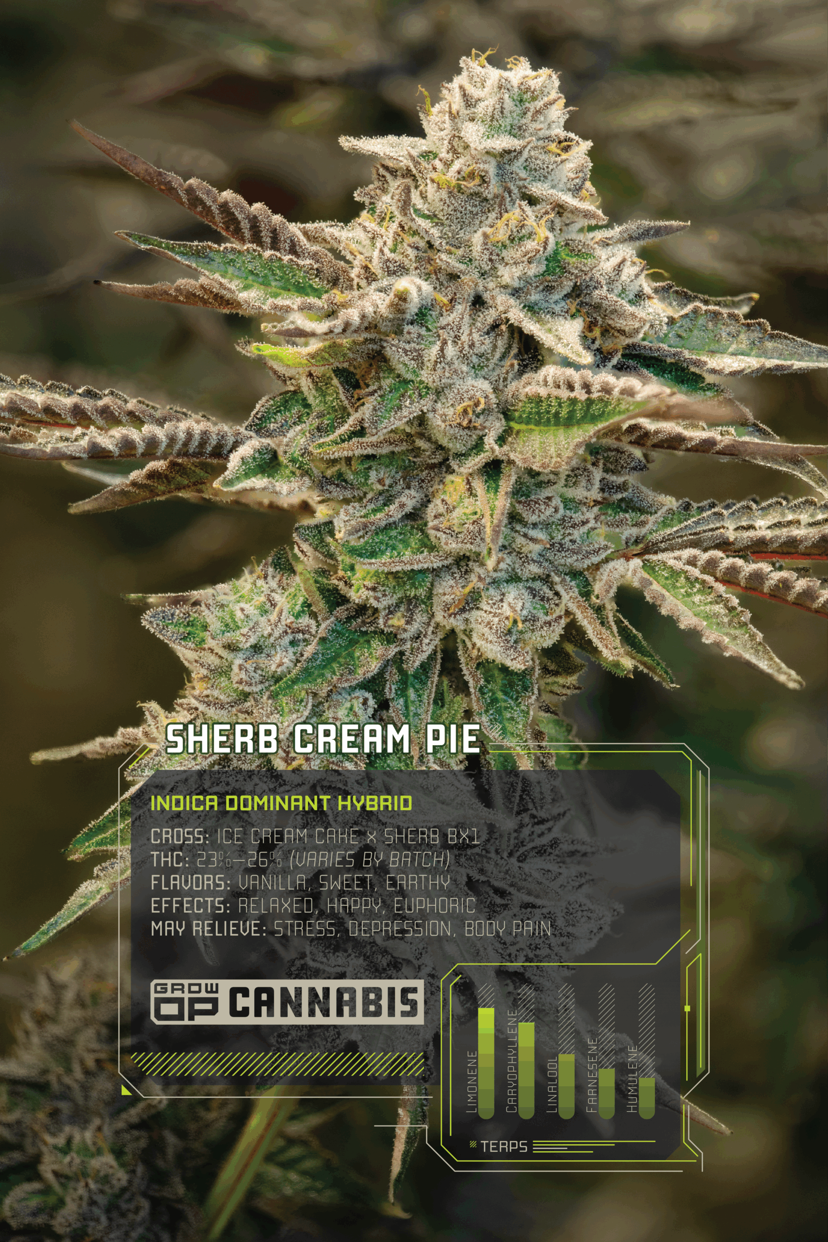 GrowOP_Flower_Infographics_Web_SCP